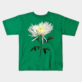 Chrysanthemums - White Spider Mum Kids T-Shirt